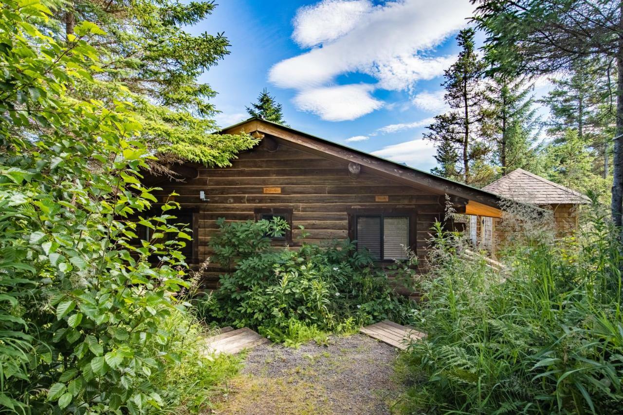 Stillpoint Lodge - All-Inclusive Halibut Cove Luaran gambar