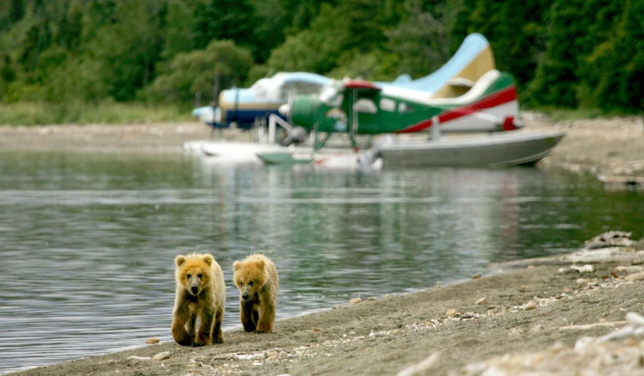 Stillpoint Lodge - All-Inclusive Halibut Cove Luaran gambar