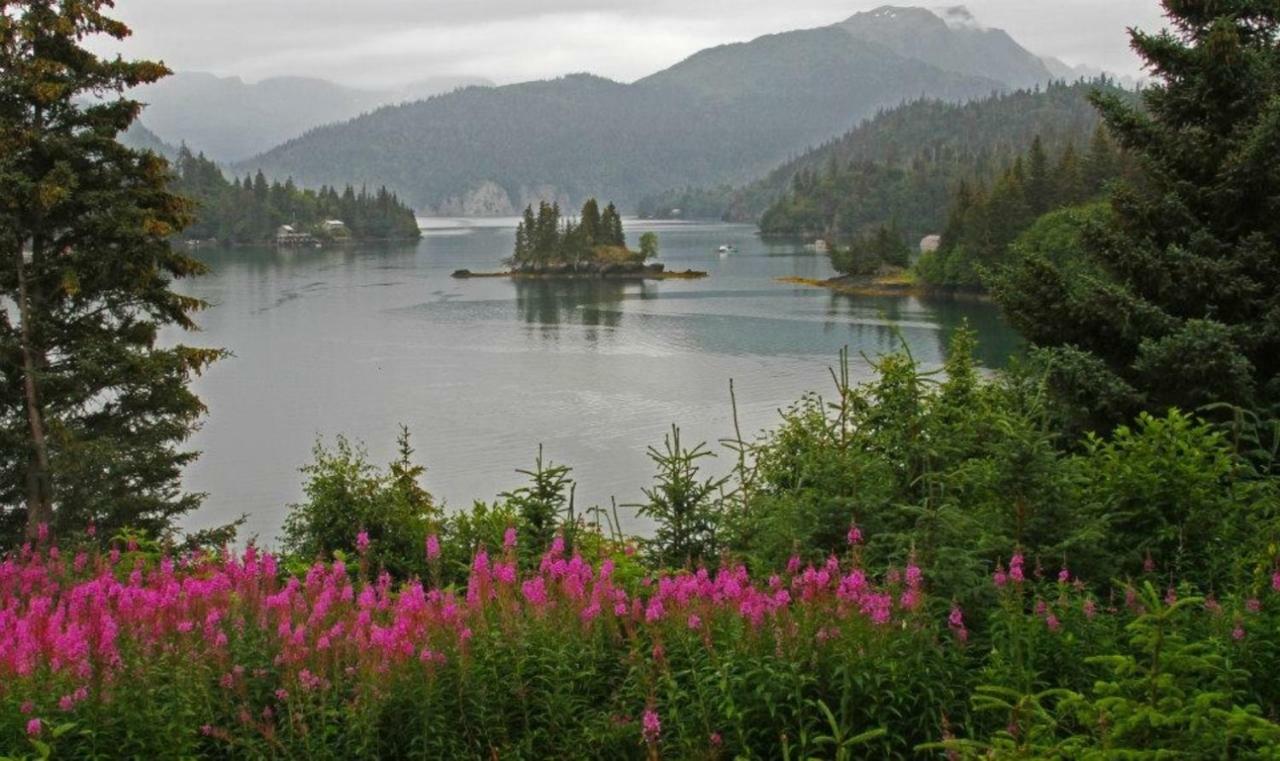 Stillpoint Lodge - All-Inclusive Halibut Cove Luaran gambar
